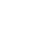 ActionScript