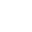 raylib